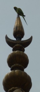 crbst p1280954
