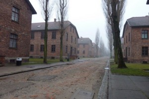 crbst p1020549