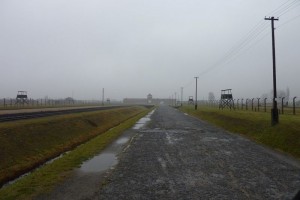 crbst p1020576