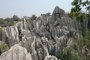 crbst p1090613
