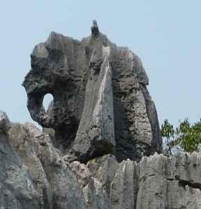 crbst p1090666