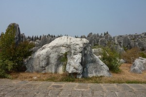 crbst p1090778