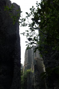 crbst p1090798