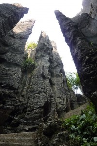 crbst p1090802