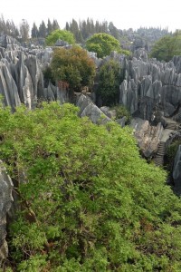 crbst p1090858