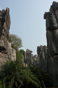 crbst p1090867