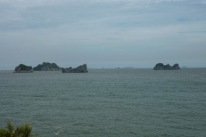 crbst p1170814