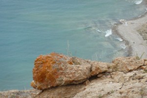 crbst p1210836