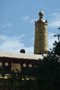 crbst p1210184