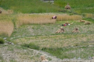 crbst p1220613