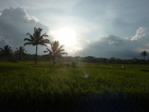 crbst p1390110