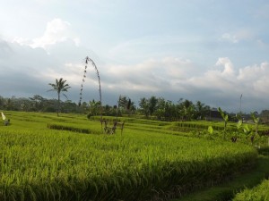 crbst p1390112