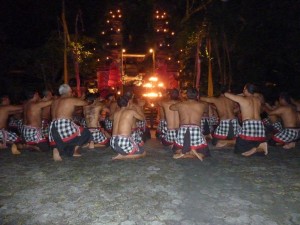 crbst p1390151