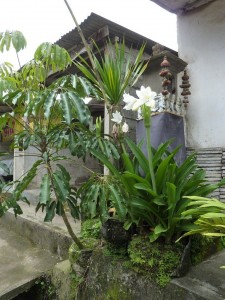 crbst p1390220
