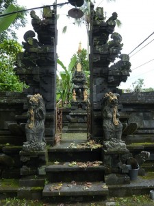crbst p1390224