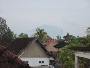 crbst p1390232