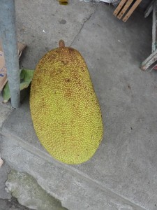 crbst p1390411