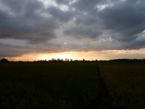 crbst p1390891