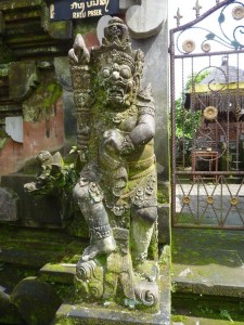 crbst p1390906