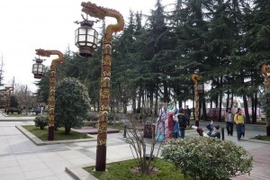 crbst p1070545