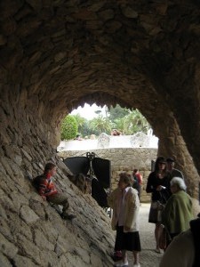 IMG 7637