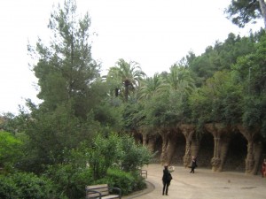 IMG 7640