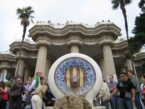 IMG 7650