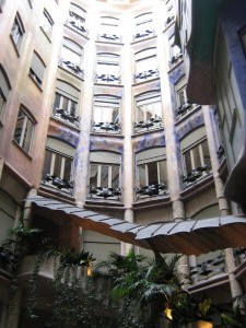 IMG 7654