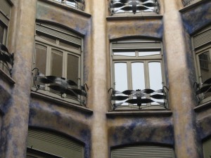 IMG 7655