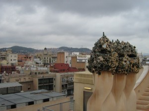 IMG 7659