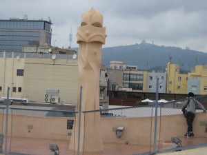 IMG 7677
