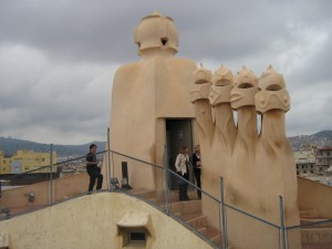 IMG 7678
