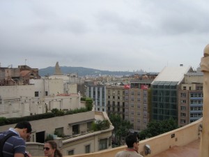 IMG 7679