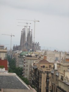 IMG 7683
