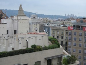 IMG 7685