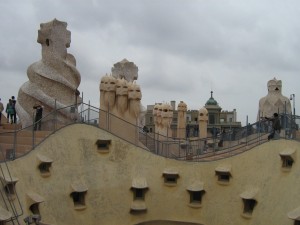 IMG 7687