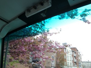 20150425 151959
