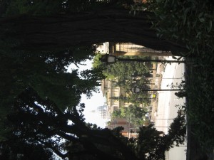IMG 4830