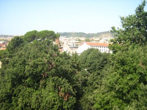 IMG 4834