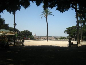 IMG 4841