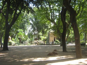 IMG 4842