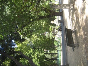 IMG 4846