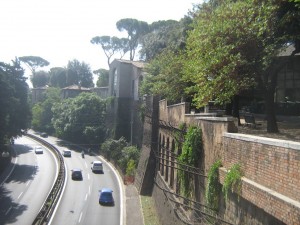 IMG 4849