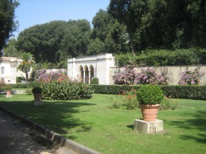 IMG 4851