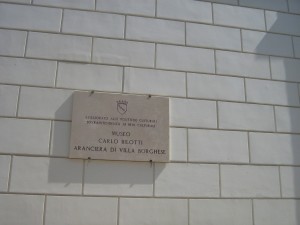 IMG 4854