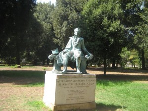 IMG 4856