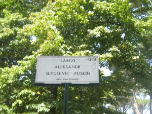 IMG 4859