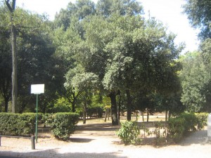 IMG 4861