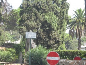 IMG 4862
