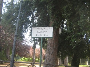 IMG 4863